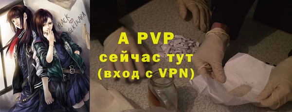 ПСИЛОЦИБИНОВЫЕ ГРИБЫ Бугульма