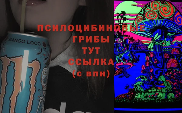 а пвп мука Бородино
