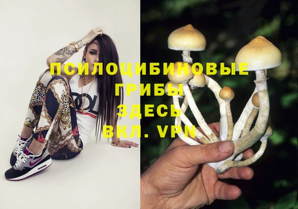 ПСИЛОЦИБИНОВЫЕ ГРИБЫ Бугульма