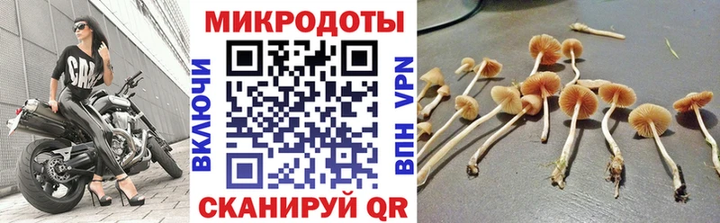 Псилоцибиновые грибы GOLDEN TEACHER  shop состав  Саранск 